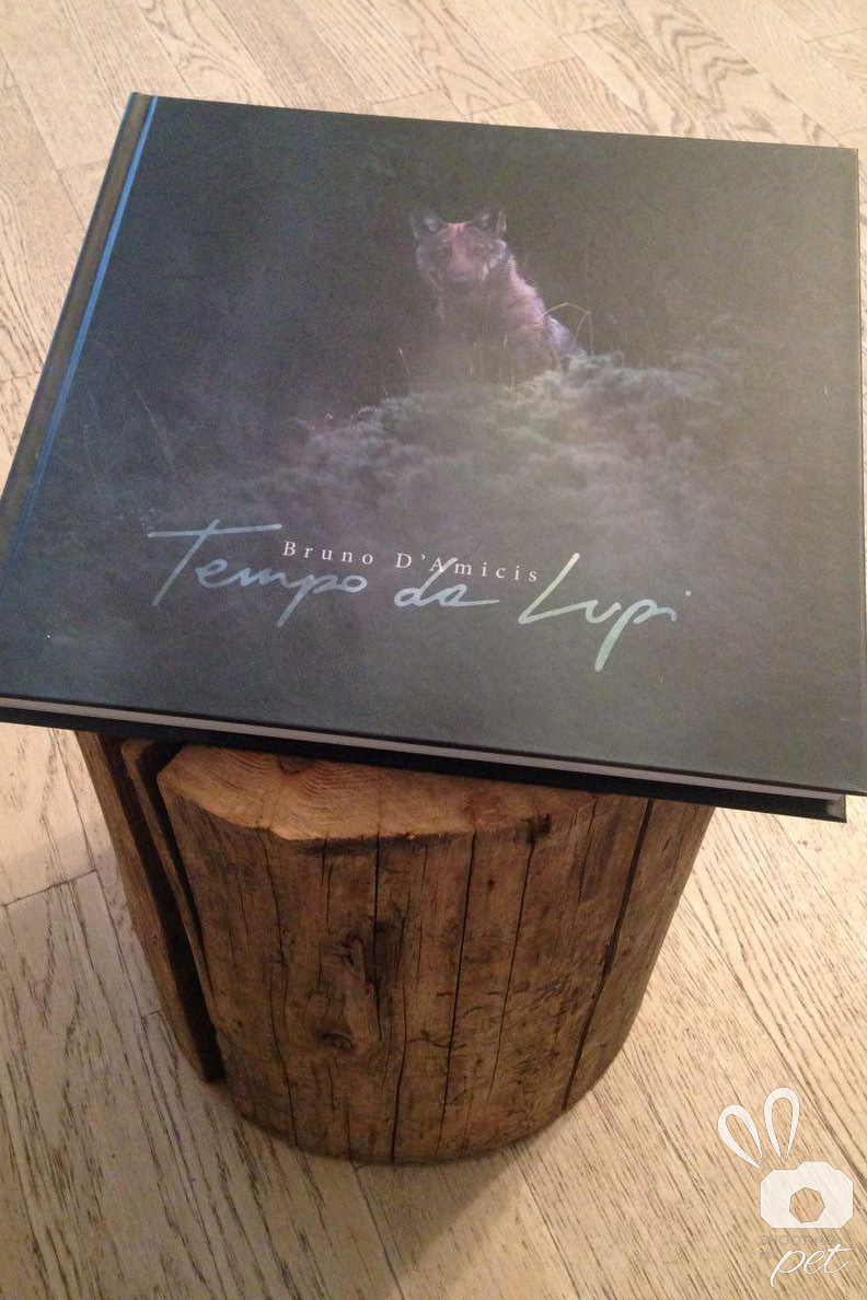 Incontro Bruno D'Amicis