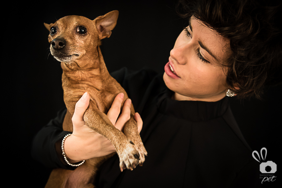 Servizio fotografico cani a Brescia