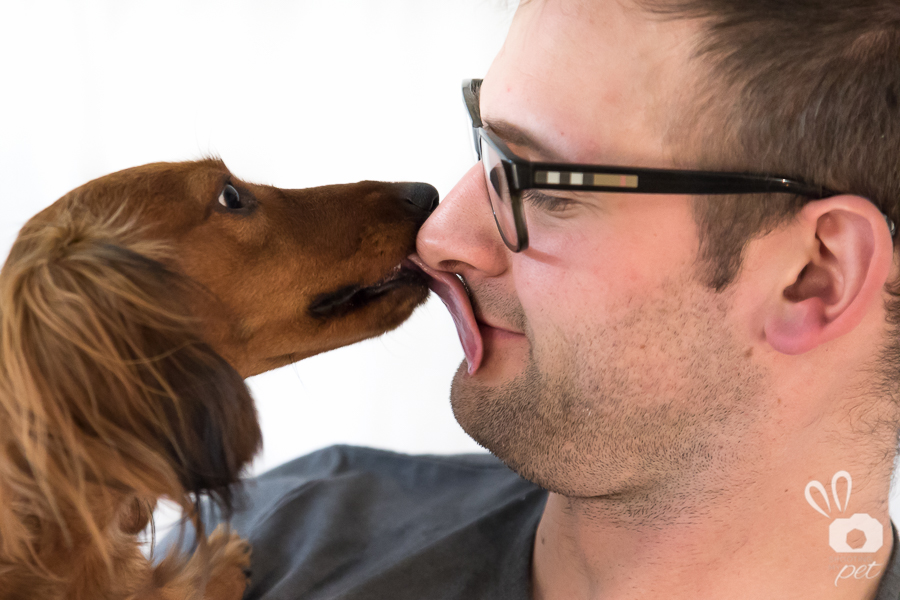 Servizio fotografico cani a Brescia