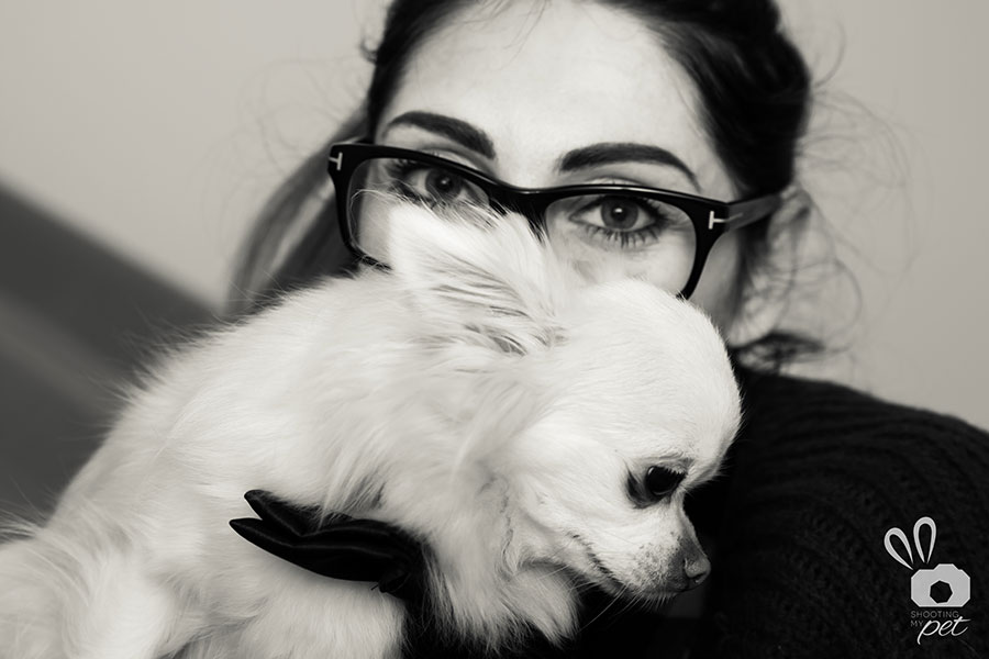 Servizi fotografici per cani a Brescia