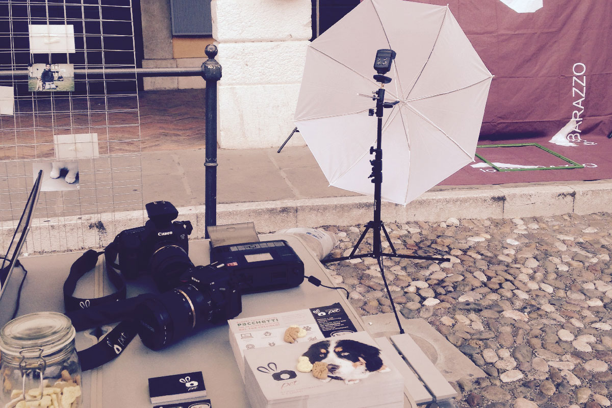 Servizi fotografici per cuccioli