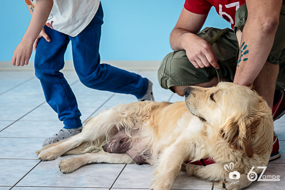 Fotografie pet therapy