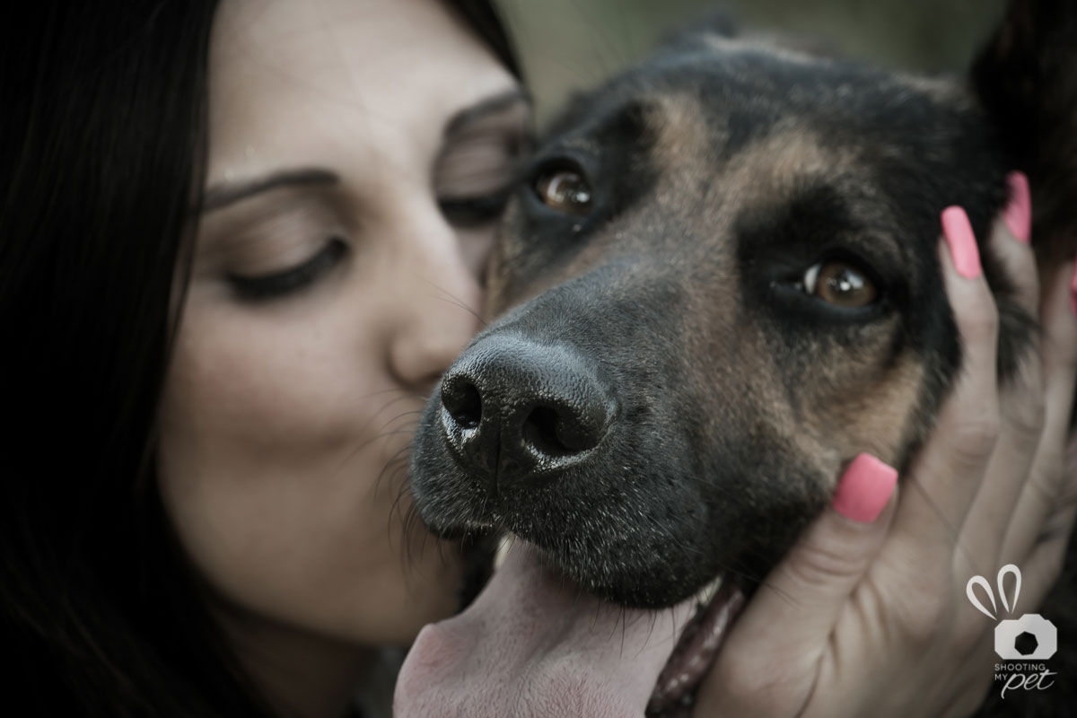 Servizi fotografici per cani a Brescia