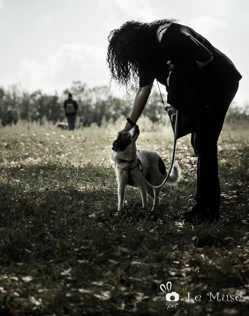 Shooting My Pet allo Zampatour per Le Muse