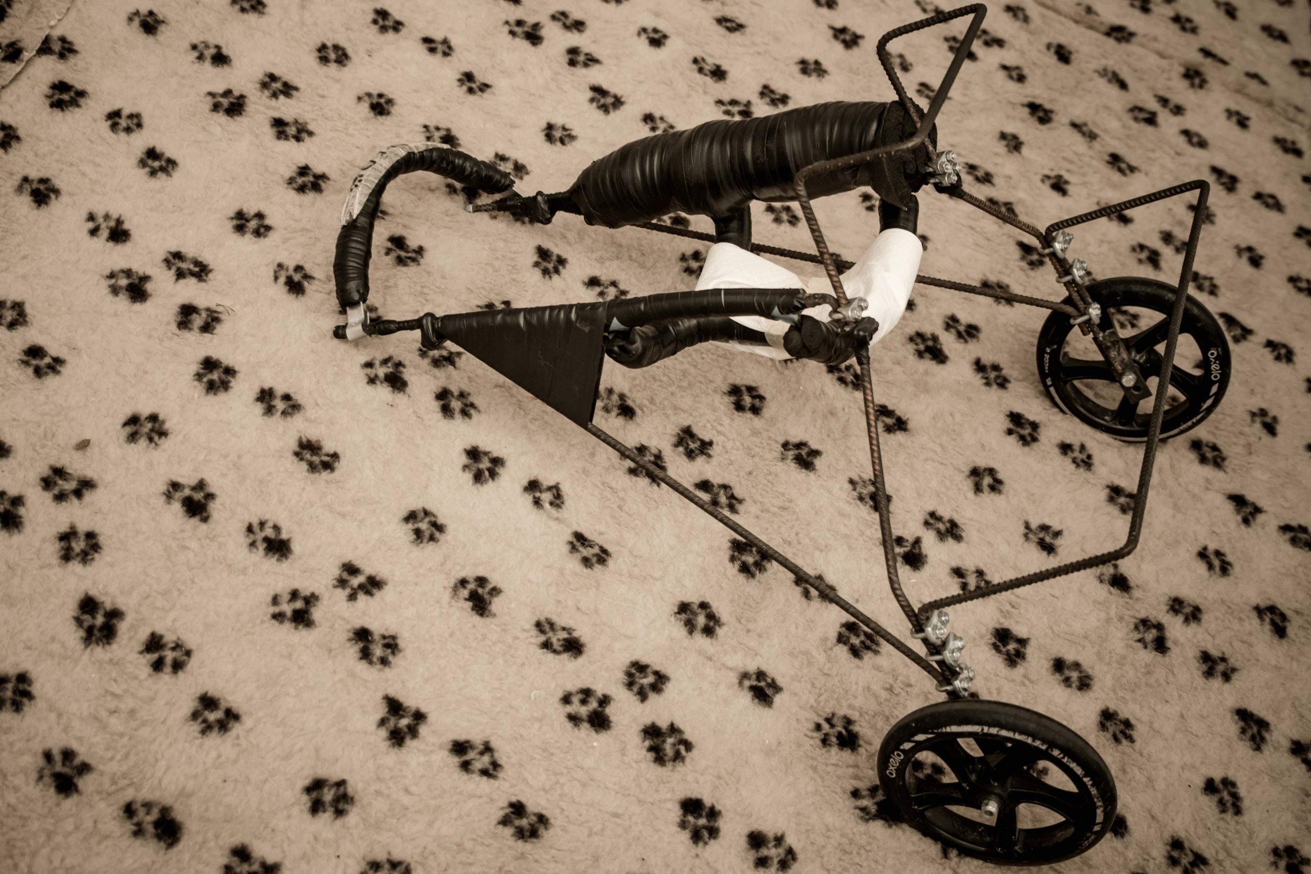 Casa Bau - Beneficenza