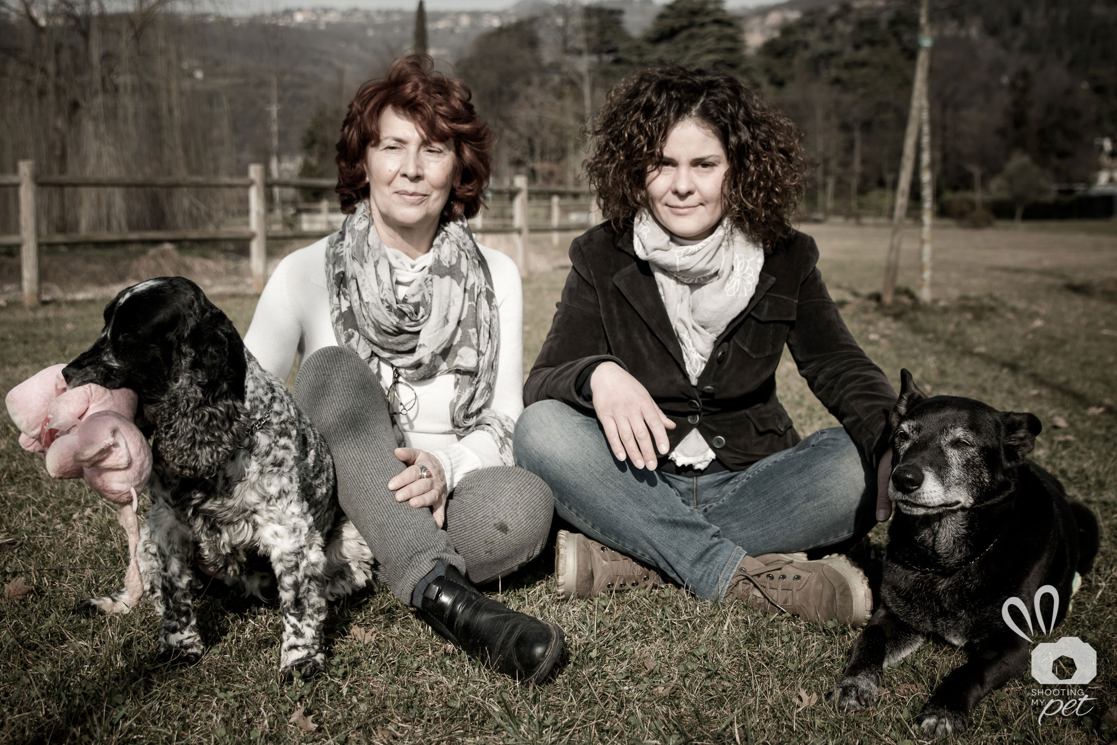 Fotografie cani all'aperto