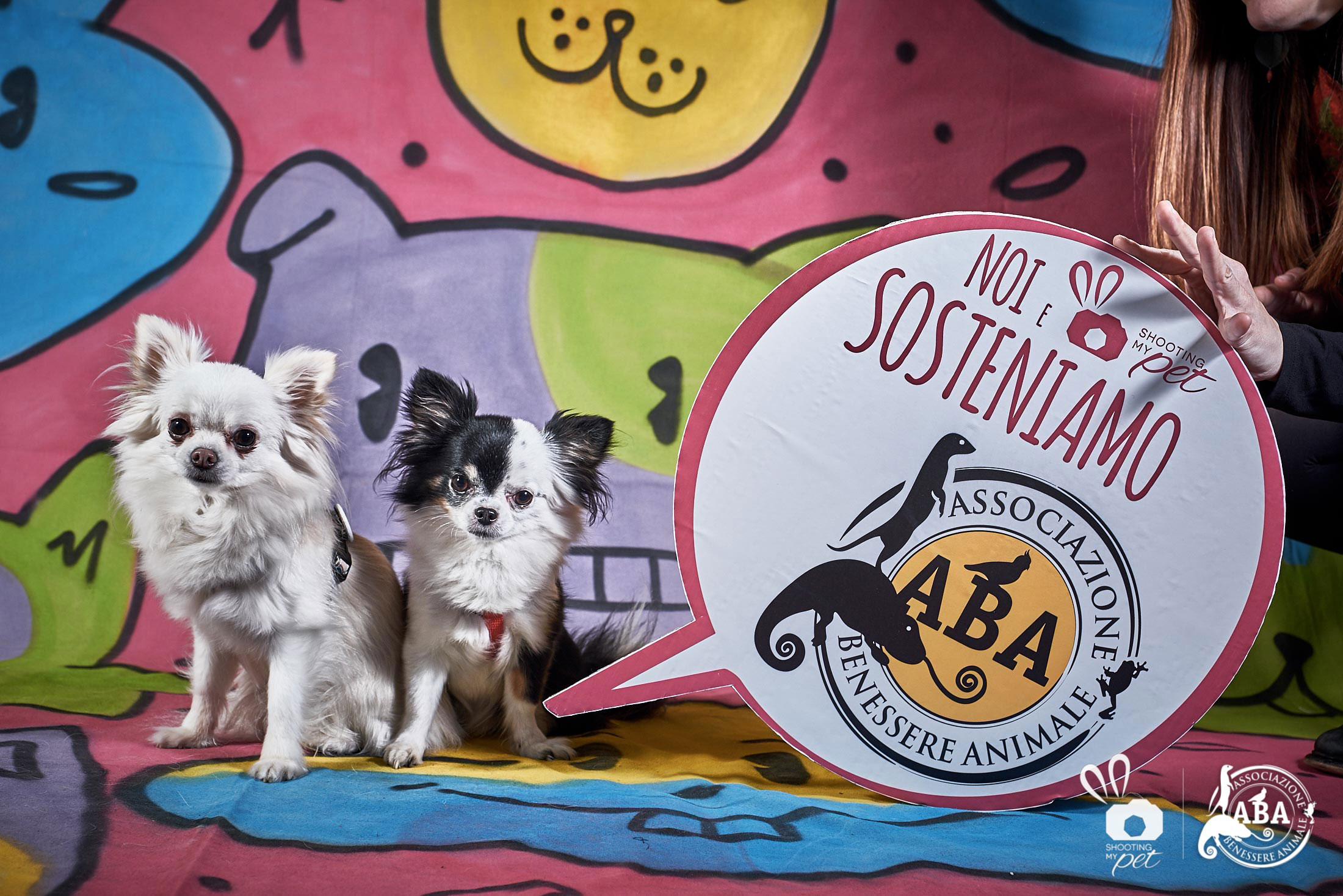 Ritratti animali domestici