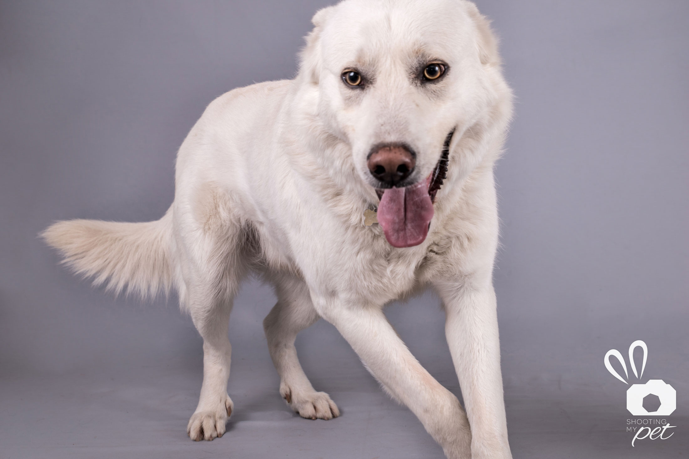 Ritratti di famiglia