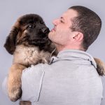 Fotografie animali domestici