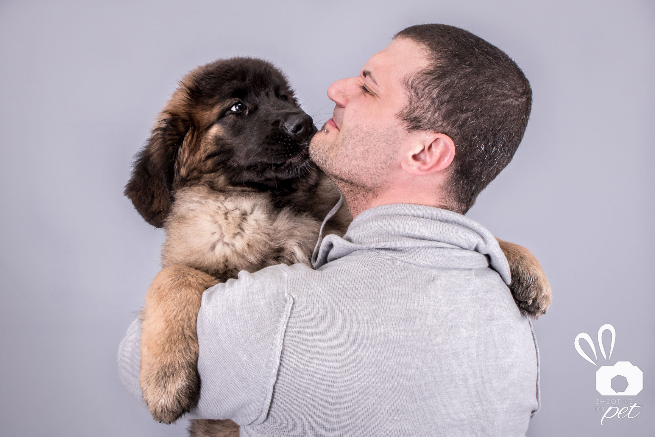 Fotografie animali domestici