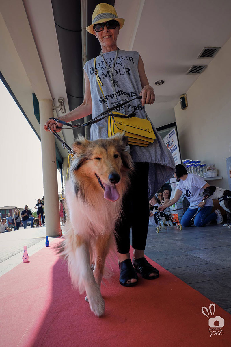 Sfilata canina di beneficenza